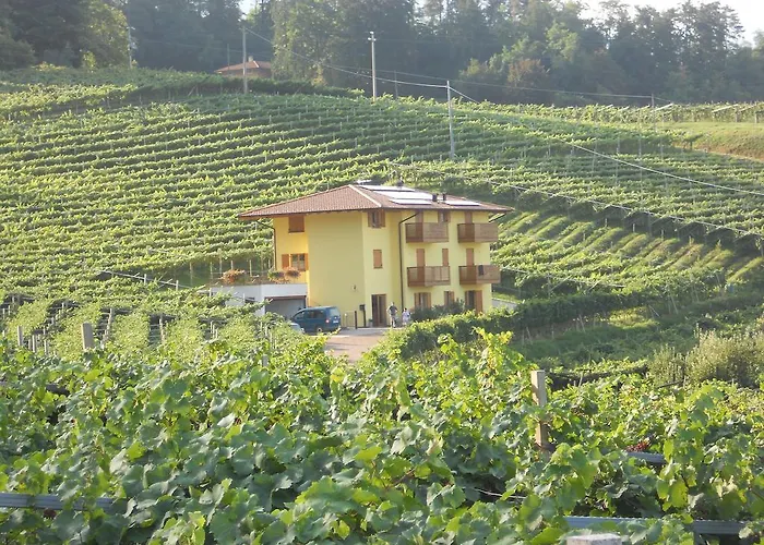 Agritur Al Vigneto Bed and Breakfast